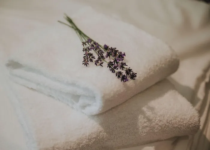 Hotel Cocoon Westbahnhof - Ehemals Boutiquehotel Stadthalle 3*